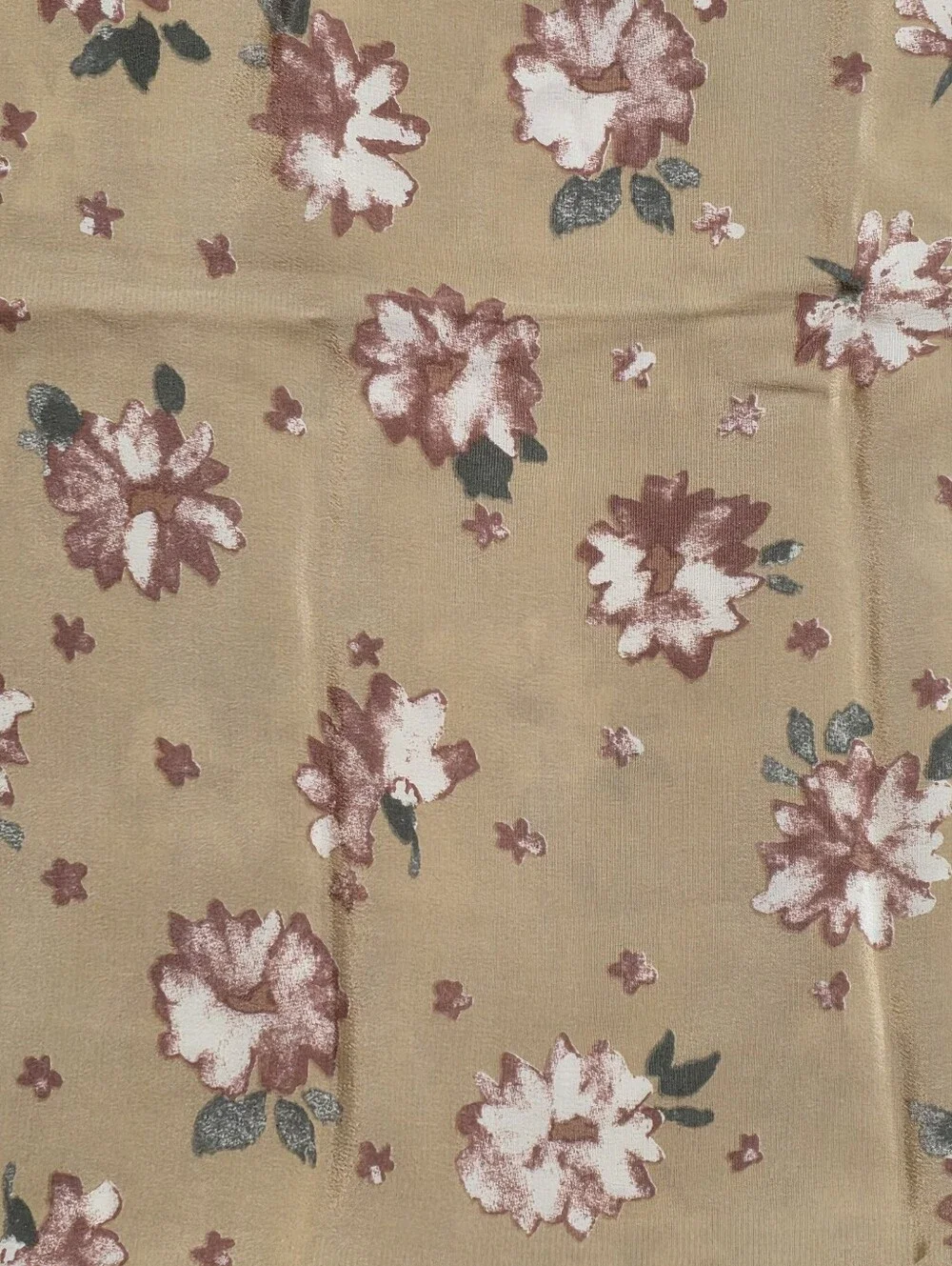 Anthropologie 